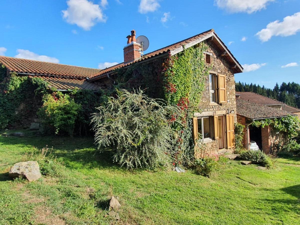 Eco-Gite Cottage Panoramique, Terrasses, Baby Foot, 150 M2 Renove Et Agrandi En 2024, Activites Proposees Champagnac-le-Vieux Exteriér fotografie